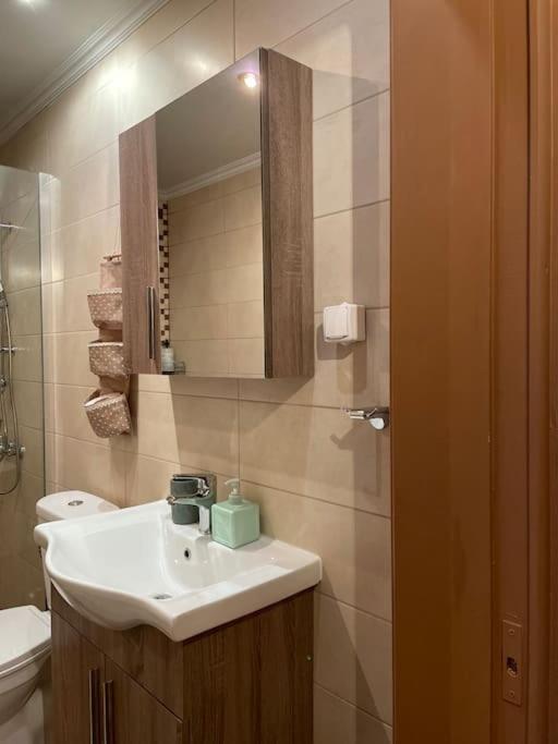 Politis' Wooden House Apartment Vasilikí Exterior foto